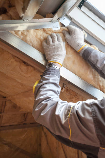 Best Blown-in Insulation in Pleasant Ridge, MI