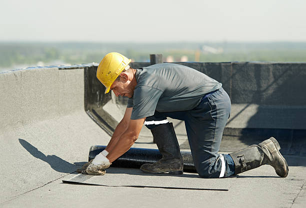 Best DIY Insulation Kits and Guidance in Pleasant Ridge, MI