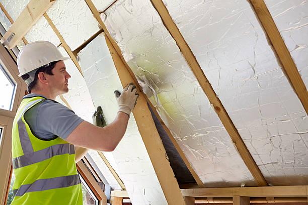 Best Specialized Insulation Services in Pleasant Ridge, MI